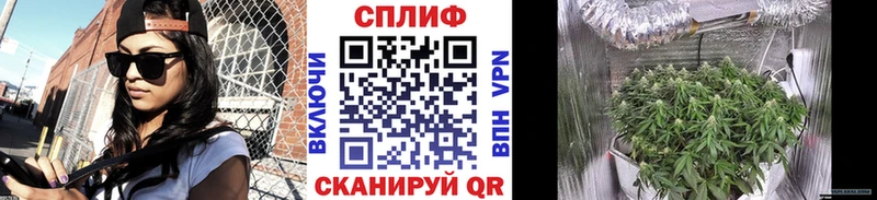 Бошки марихуана THC 21% Сковородино